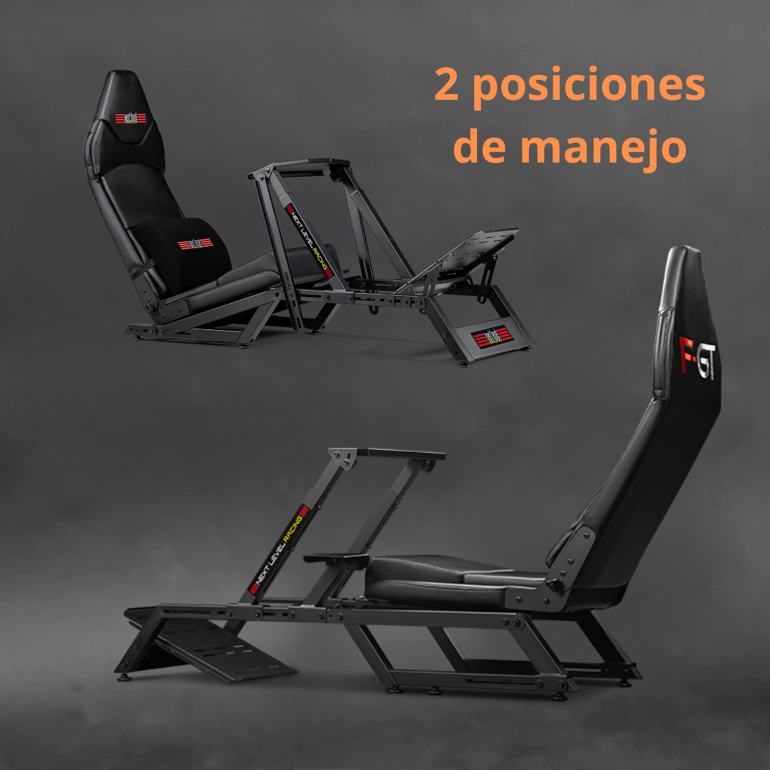 F1-GT