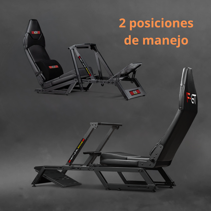 F1-GT